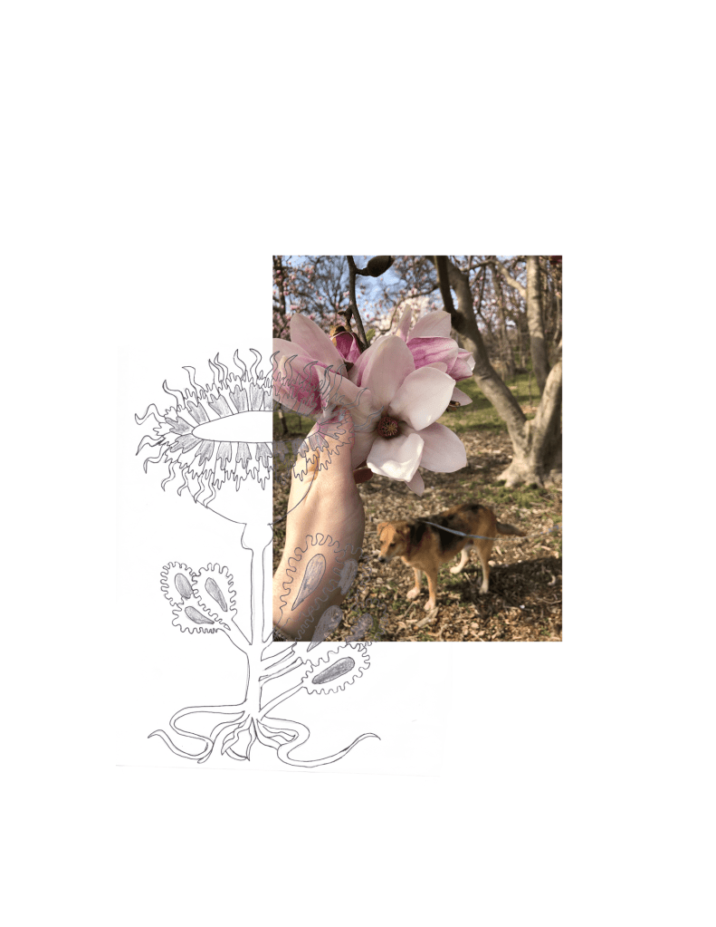 A photo of the author, a white non-binary person, grasping a pink flower dangling from a tree. A dog can be seen in the background. A sketch of a flower is superimposed on top of the photo.