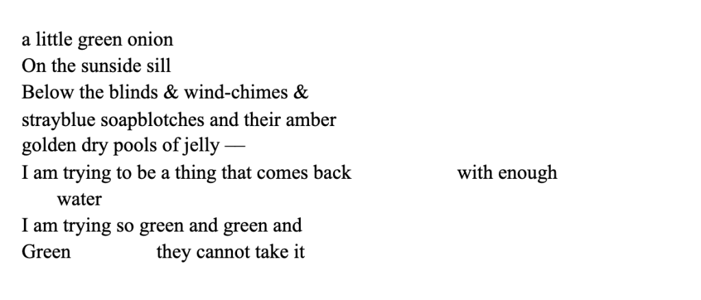 a little green onion
On the sunside sill
Below the blinds & wind-chimes &
strayblue soapblotches and their amber
golden dry pools of jelly ––
I am trying to be a thing that comes back with enough
water
I am trying so green and green and
Green they cannot take it