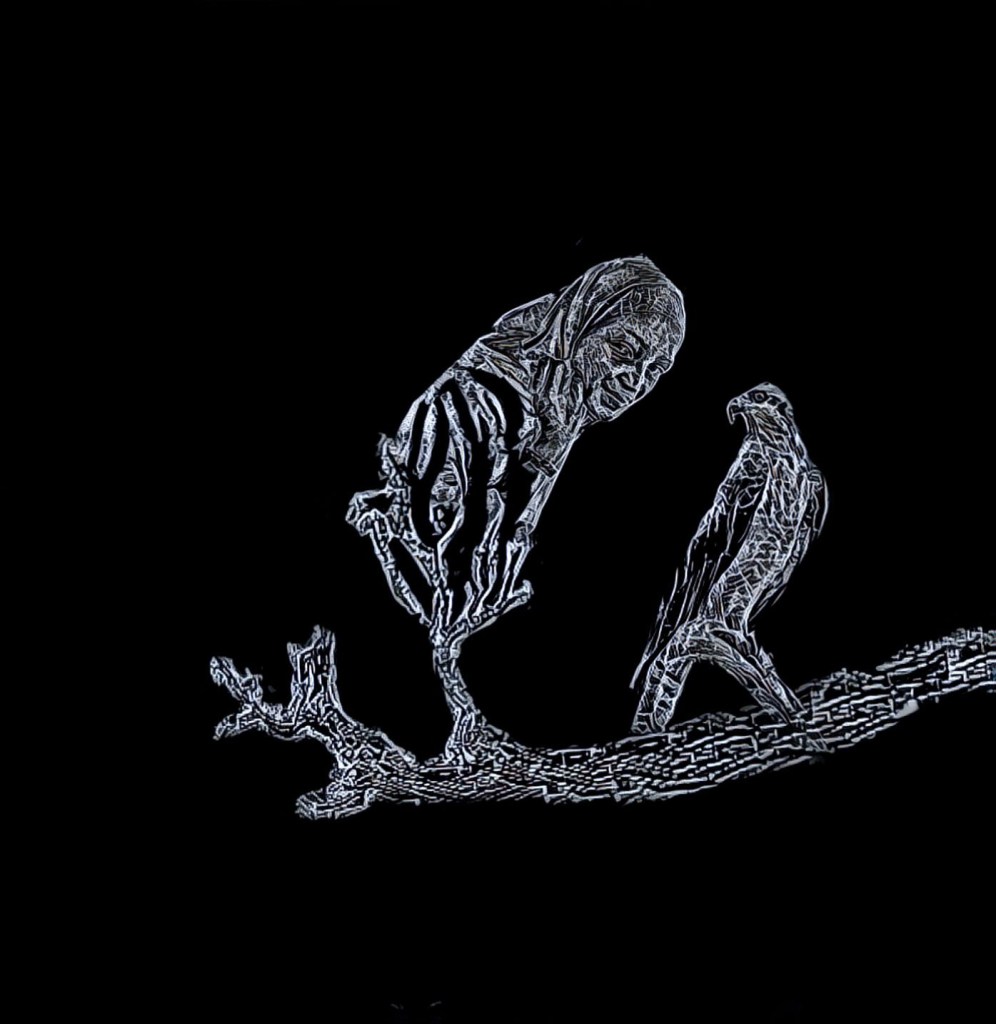 A hawk and a grandmother's smiling, shawled head sprout from the same branch. They stare into the camera.