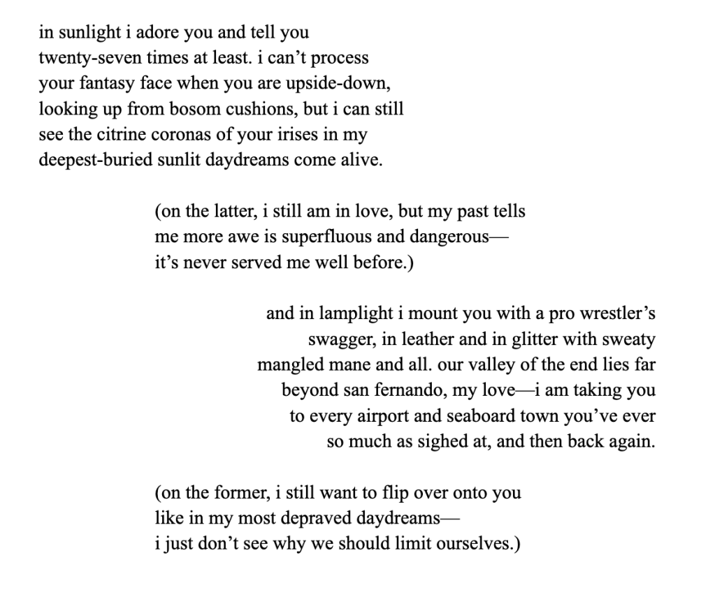in sunlight i adore you and tell you
twenty-seven times at least. i can’t process
your fantasy face when you are upside-down,
looking up from bosom cushions, but i can still 
see the citrine coronas of your irises in my
deepest-buried sunlit daydreams come alive.

(on the latter, i still am in love, but my past tells
me more awe is superfluous and dangerous—
it’s never served me well before.)

and in lamplight i mount you with a pro wrestler’s
swagger, in leather and in glitter with sweaty
mangled mane and all. our valley of the end lies far
beyond san fernando, my love—i am taking you
to every airport and seaboard town you’ve ever
 so much as sighed at, and then back again.

(on the former, i still want to flip over onto you
like in my most depraved daydreams—
i just don’t see why we should limit ourselves.)
