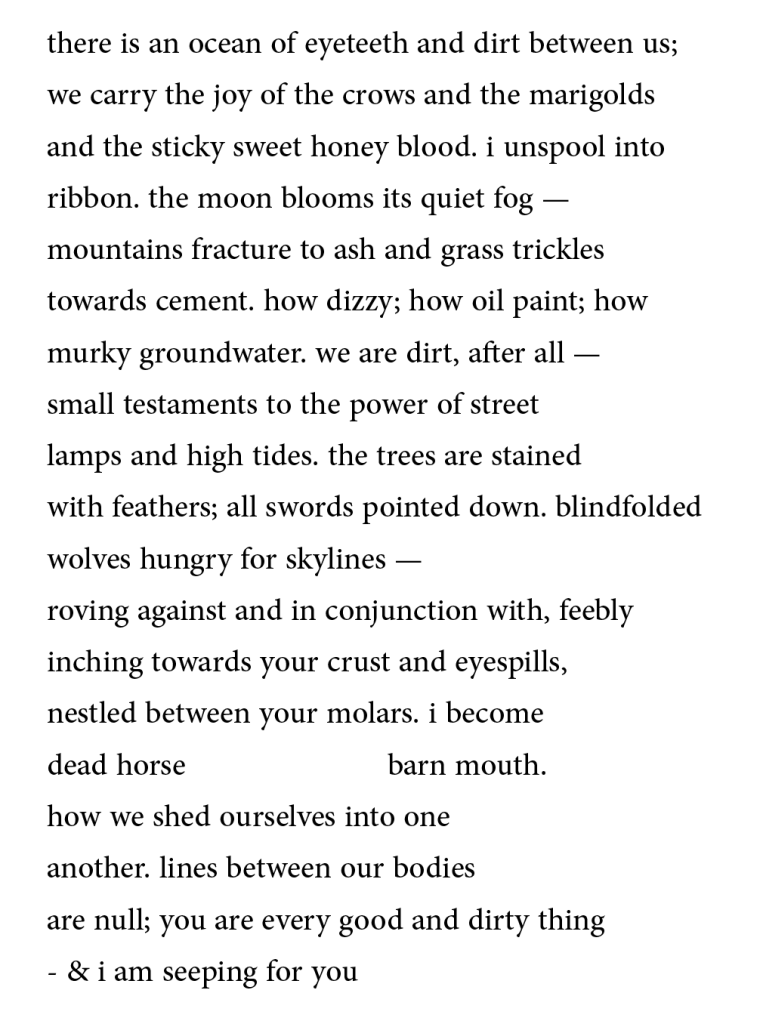 There is an ocean of eyeteeth and dirt between us; we carry the joy of the crows and the marigolds and the sticky sweet honey blood. I unspool into ribbon. The moon blooms its quiet fog. Mountains fracture to ash and grass trickles towards cement. How dizzy, how oil paint, how murky groundwater. We are dirt, after all: small testaments to the power of street lamps and high tides. The trees are stained with feathers, all swords pointed down. Blindfolded wolves hungry for skylines, roving again and in conjunction with, feebly inching towards your crust and eyespills, nestled between your molars. I become dead horse, barn mouth. How we shed ourselves into one another. Lines between our bodies are null. You are every good and dirty thing, and I am seeping for you.
